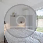 Amazing In Casa vacanze *